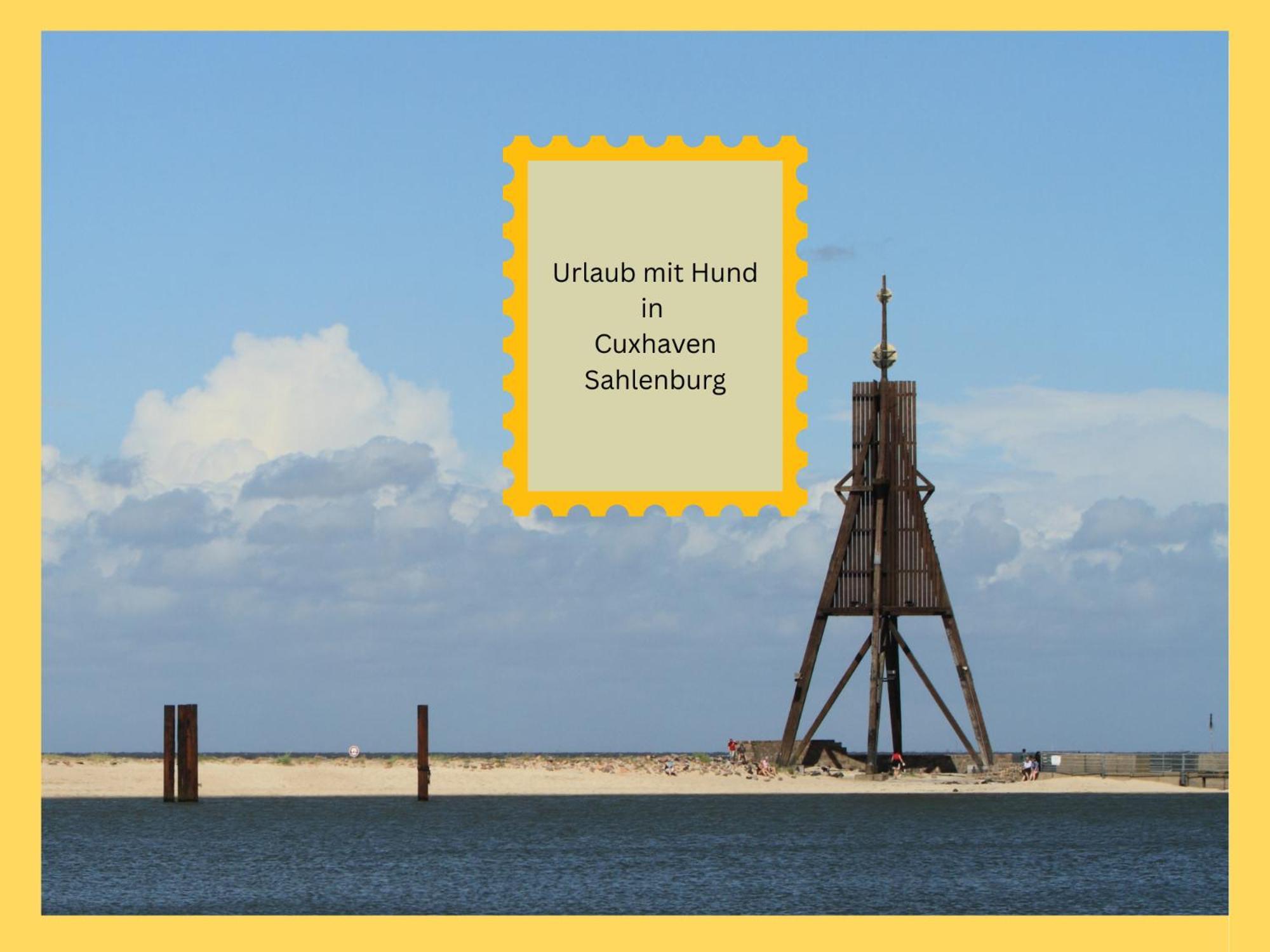Strandloft Cuxhaven Im Haus Frauenpreiss Sahlenburg - Strandnah - 2 Hunde Willkommen -Schwimmbad - Sauna - Direkt Am Wald - Dachterrasse Mit Blick Nach Neuwerk Exterior photo